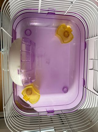 Jaula Hámster Pequeña Plástico