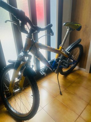 Bicicleta Torpado  • Blanes recogida