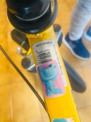 Bicicleta Torpado  • Blanes recogida
