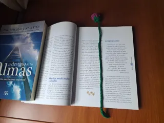 Punto de libro