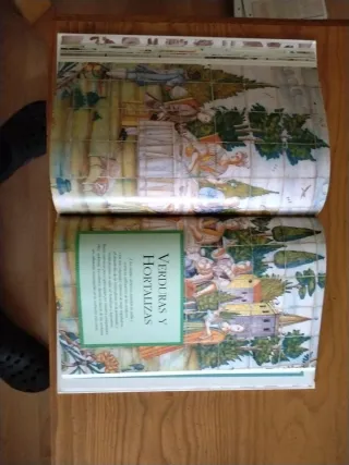 Libro de cocina española.