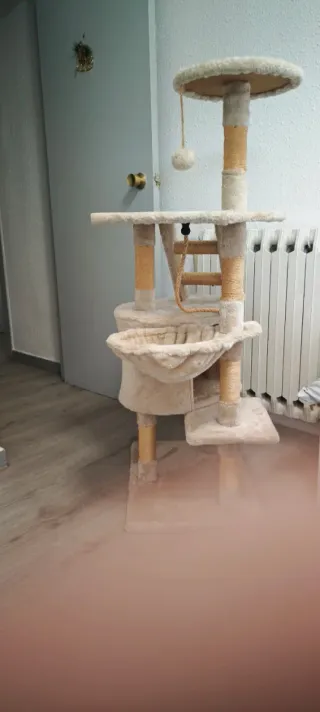 Pie de Árbol de gato