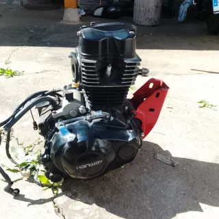 Motor Hanway Raw 125i