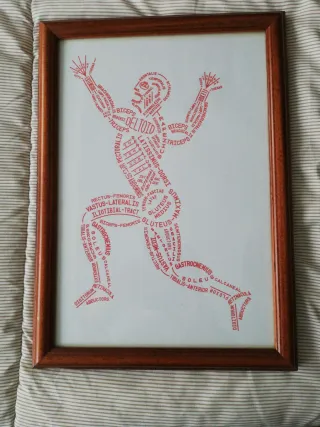Cuadro Decorativo Anatomía Humana