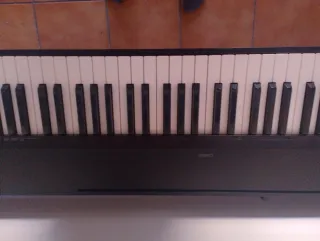 Casio CDP-120BK Piano Digital