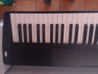 Casio CDP-120BK Piano Digital