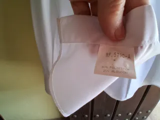 Camisa de vestir blanca