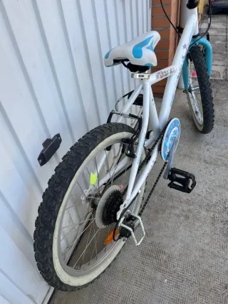 Bicicleta infantil 20 pollici