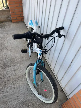 Bicicleta infantil 20 pollici