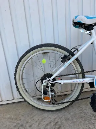 Bicicleta infantil 20 pollici