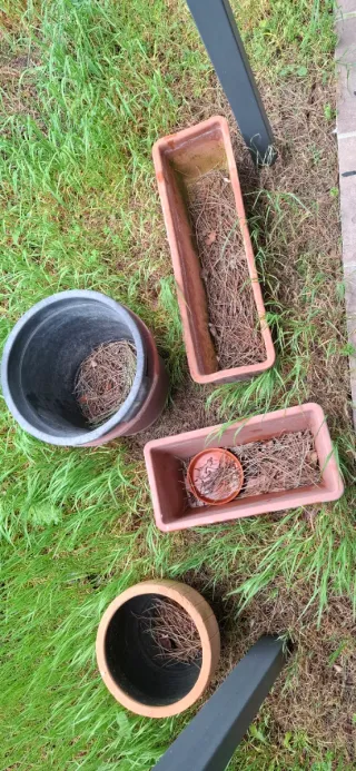 Lote Macetas Terracota y Plástico