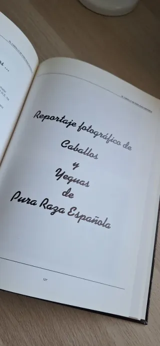 El Caballo De Pura Raza Española