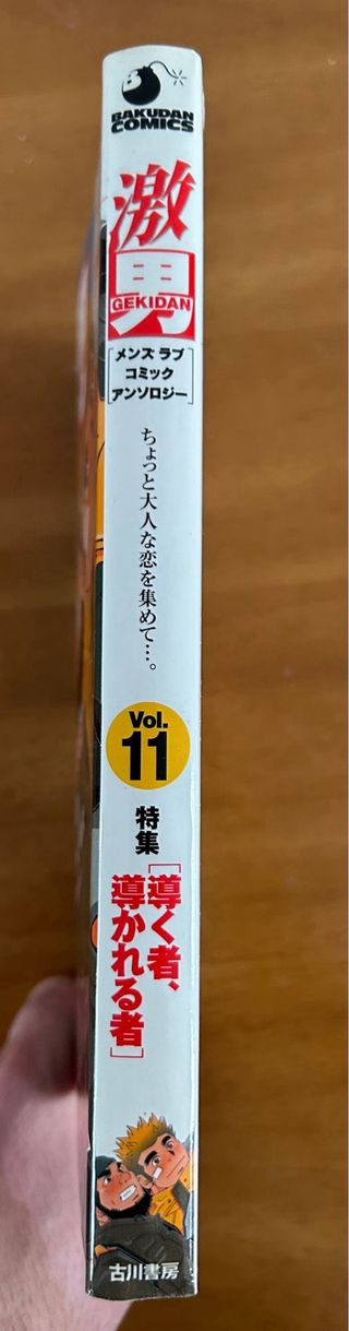 激男 11 Gekidan vol. 11