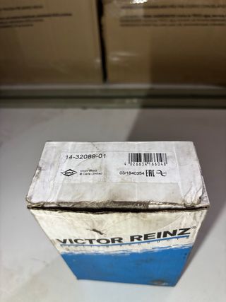 Juego Tornillos Culata REINZ 14-32089-01(c)