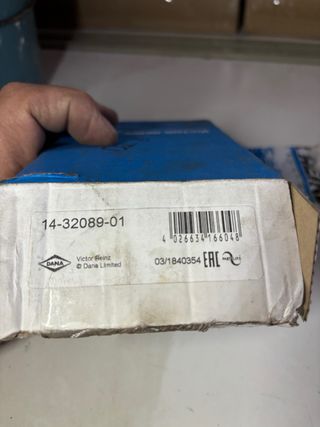 Juego Tornillos Culata REINZ 14-32089-01(c)