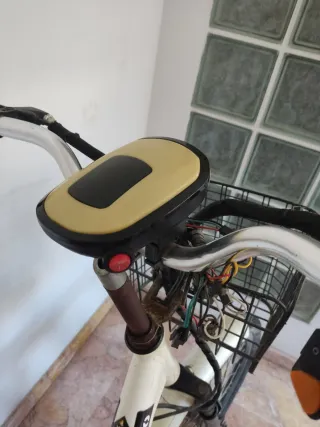Bicicleta eléctrica 2 asientos ciudad LEER Y VER!
