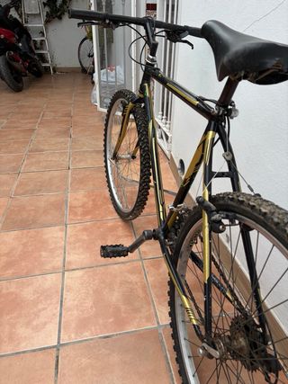 Bicicleta de Montaña Negra y Dorada