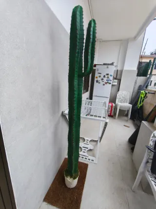 Cactus artificial alto