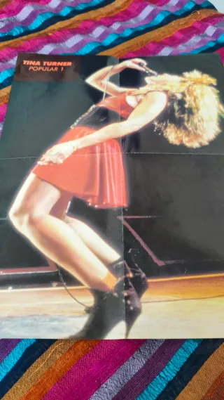 Póster Tina Turner Popular 1