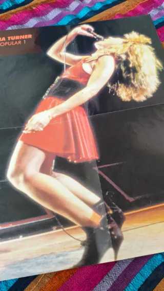 Póster Tina Turner Popular 1