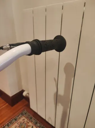 Bicicleta infantil con ruedines