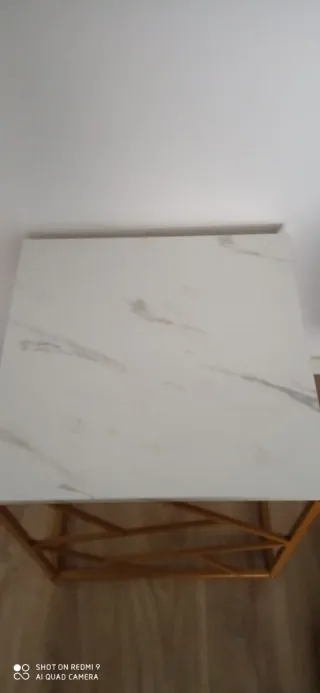 DOS PRECIOSAS MESAS( CHOLLO)