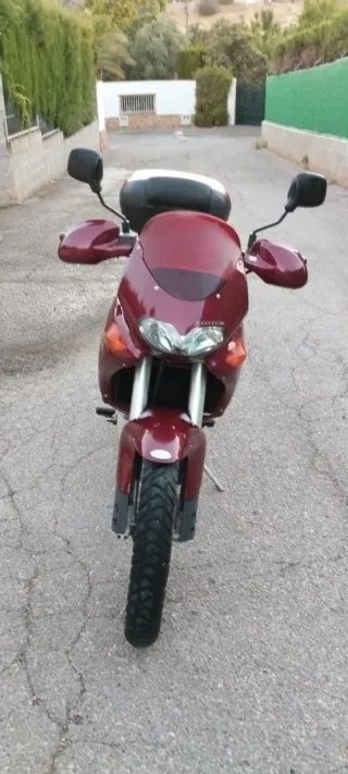 Aprilia Pegaso 650 cc Moto