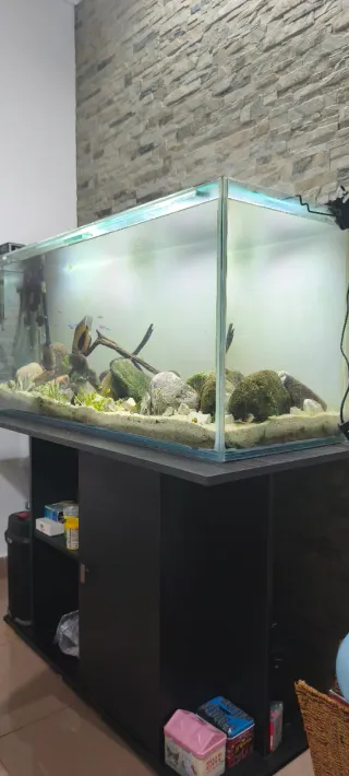 Acuario 220L ( Ultimo precio)