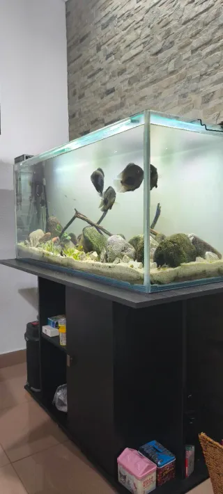 Acuario 220L ( Ultimo precio)