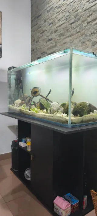 Acuario 220L ( Ultimo precio)