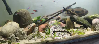 Acuario 220L ( Ultimo precio)