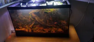 Bolitas Fertilizantes para Acuario Plantado