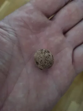 Bolitas Fertilizantes para Acuario Plantado