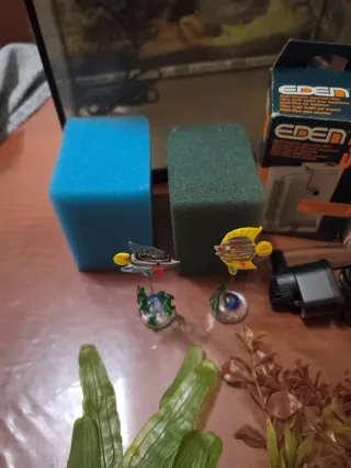 Pecera con accesorios