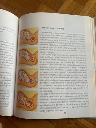 Libro vas a ser madre