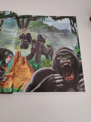ANIMALES DE LA SELVA (ENCICLOPEDIA DE LOS ANIMALES