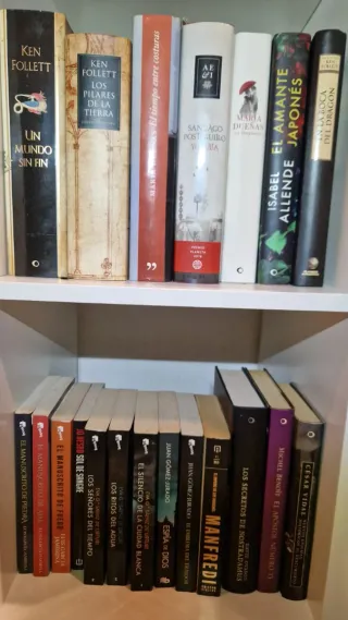 Lote de Libros Variados - Oferta