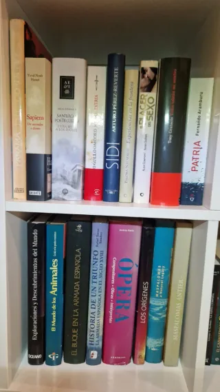 Lote de Libros Variados - Oferta