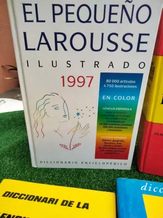 Lote diccionarios  Catalán, Español, Asturiano...
