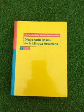 Lote diccionarios  Catalán, Español, Asturiano...