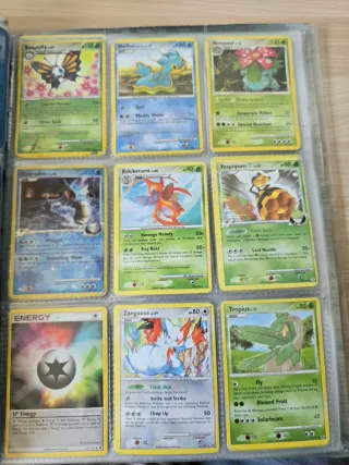 Álbum Cartas Pokemon