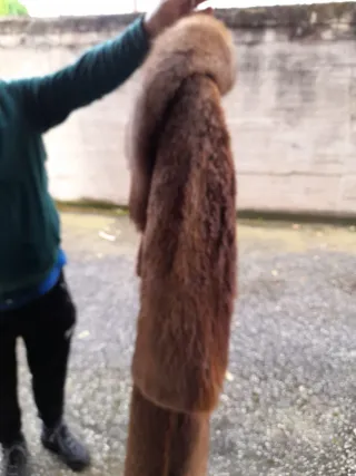 Pelliccia Castorino Marrone