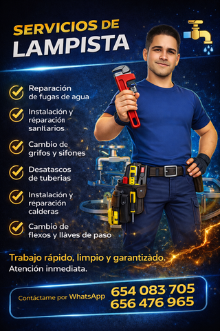 Servicio profesional de lampista