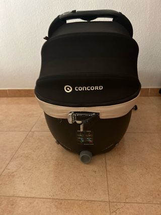 Moisés para bebé Concord
