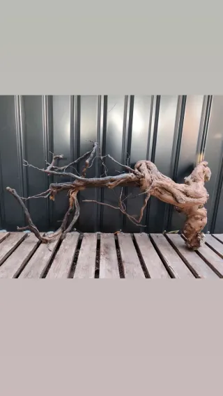 OFERTA! Raíz/tronco Decoración acuario