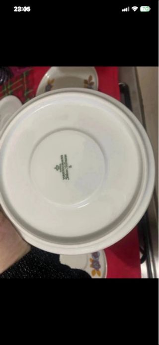 6 Piattini porcellana decorati fiori