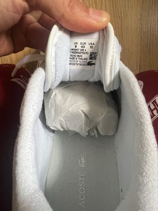 Lacoste Lineshot Blancas Talla 42