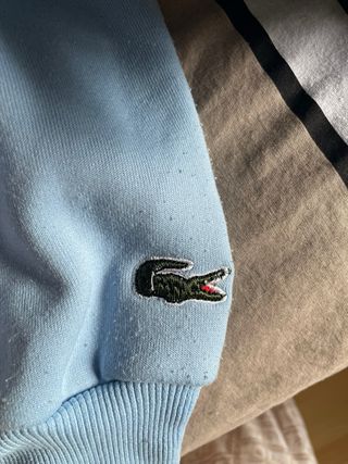 Conjunto Chándal Lacoste Azul