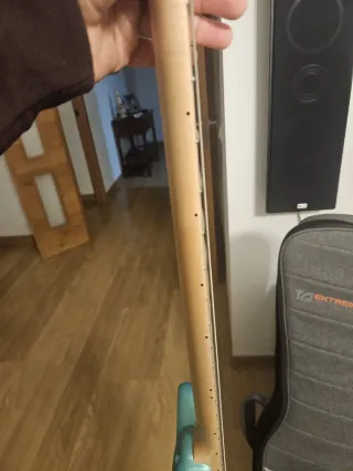 Guitarra Eléctrica PJD St. John P90