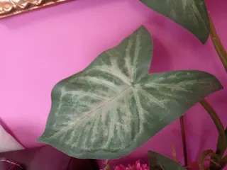 Planta Artificial Hojas Tela Bonita